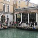 Venice-Kats Report