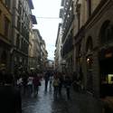 Tuscany-Kats Report