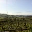 Tuscany-Kats Report