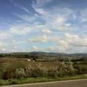 Tuscany-Kats Report