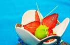 Joel Robuchon - Dining Art
