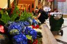 Palazzo and Venetian Horticulture