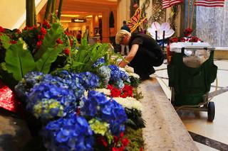 Palazzo and Venetian Horticulture