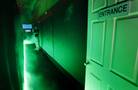 Area 51 Exhibit