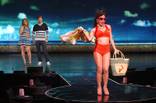 'Surf the Musical' Preview