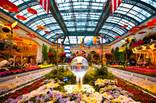Bellagio Gardens: Summer 2012