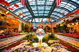 Bellagio Gardens: Summer 2012