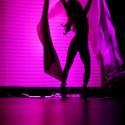 Burlesque Hall of Fame Weekend 2012