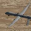 Photo: In this Sept. 6, 2007, photo, an MQ-1 Predator unm Photo: In this Sept. 6, 2007, photo, an MQ-1 Predator unm