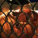 Tuf Live Finale