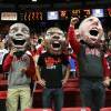 UNLV fans in giant 3D representations of UNLV players cheer the Rebels on against Wyoming Thursday, Jan. 24, 2013 at the Thomas & Mack Center. UNLV won 62-50. UNLV fans in giant 3D representations of UNLV players cheer the Rebels on against Wyoming Thursday, Jan. 24, 2013 at the Thomas & Mack Center. UNLV won 62-50.