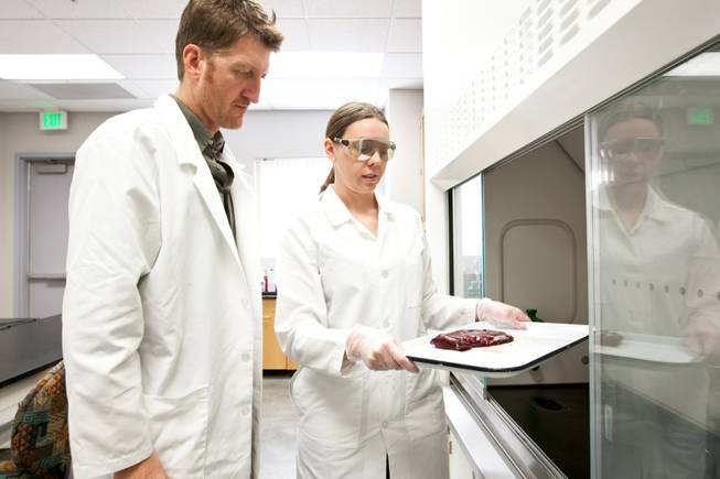 Placenta Lab Placenta Lab