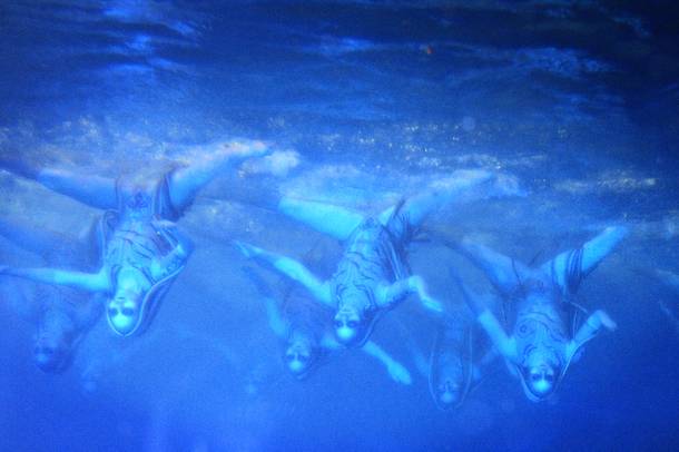 A view of the underwater tank at
