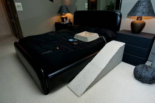 A climbing ramp and heated bed are permanent fixtures in the bed of Rick Mills as he makes his beloved cat, Kia, comfortable as she lives out her last years, now days, of life in their home in Las Vegas Monday, August 12, 2013. Kia, a 24-year-old Burmese Siamese, is suffering with pulmonary carcinoma and arthritis, which are taking a fast toll on her health.