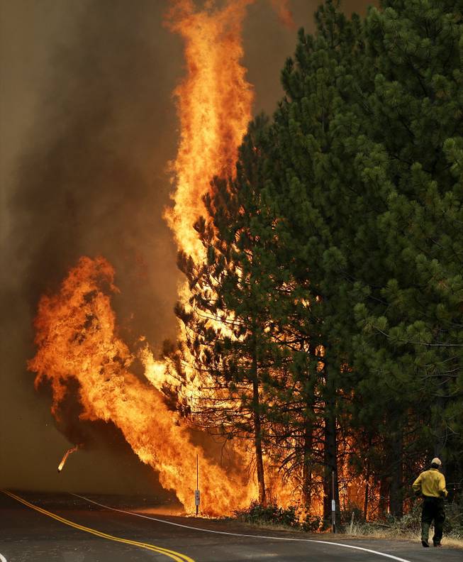The Rim Fire burns along Highway 120 near Yosemite National Park, Calif., on Sunday, Aug. 25, 2013. With winds gusting and flames jumping from treetop to treetop, hundreds of firefighters have been deployed to protect communities in the path of the Rim Fire raging north of Yosemite National Park.