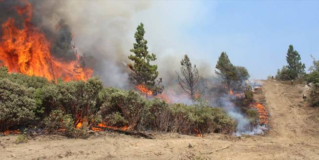 In this Friday, Aug. 30, 2013 photo provided by the U.S. Forest Service, firefighters, right, watch over a burn operation on the southern flank of the Rim Fire near Yosemite National Park in California. The wildfire burning in and around Yosemite National Park has become the fourth-largest conflagration in California history.