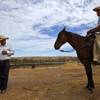 Photo: Rancher Cliven Bundy, left, and his son, Arden, st Photo: Rancher Cliven Bundy, left, and his son, Arden, st
