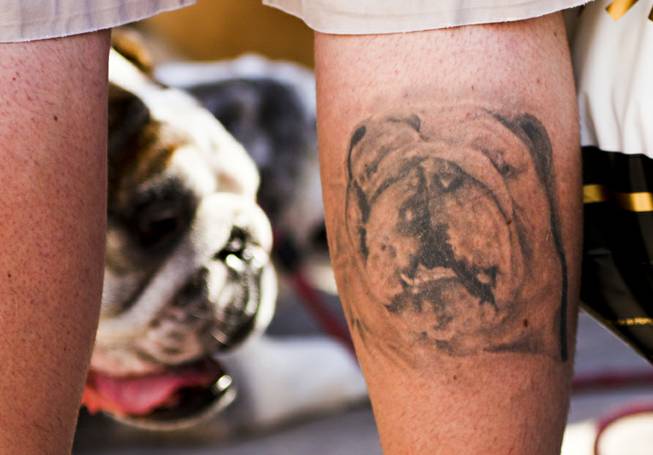 Shown is David Vogel's tattoo of his bulldog Boris who can be seen in the background during the first annual "Running of the Bulldogs" on Saturday, Sept. 28, 2013. In celebration of National Dog Week (the last week of September), Caesars Palace hosted the inaugural Running of the Bulldogs, where 30 bulldogs competed in a short race towards a doghouse replica of The Colosseum. The owner of the winning bulldog received a two-night PetStay at Caesars Palace and dinner for two at Gordon Ramsay Pub & Grill.