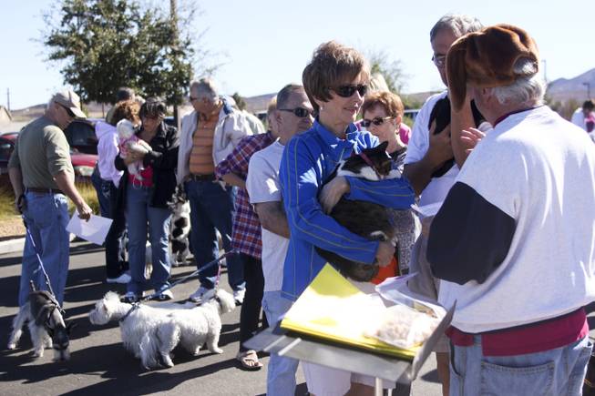 Pet owners wait in line with their cats and dogs during a pet blessing ceremony to celebrate the Feast of St. Francis of Assisi, the Catholic patron saint of animals, at New Song Church in Henderson on Saturday, Oct. 5, 2013. In the U.S., St. Francis of Assisi's feast day is celebrated on Oct. 4.