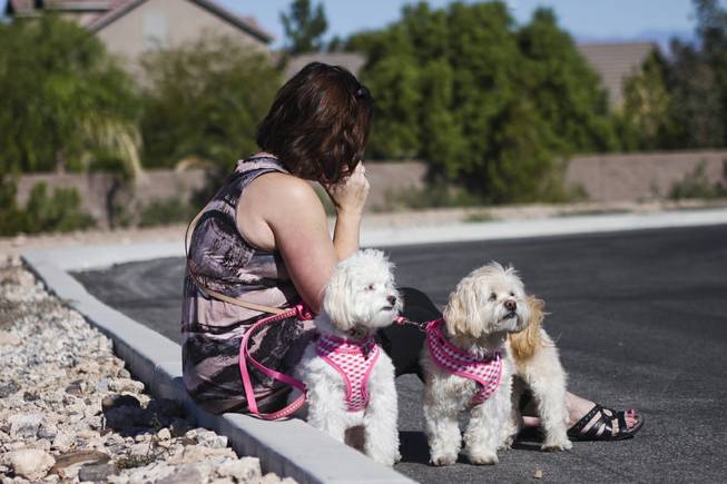 Holy Noel and Martini watch the crowd as their owner talks on the phone during a pet blessing ceremony to celebrate the Feast of St. Francis of Assisi, the Catholic patron saint of animals, at New Song Church in Henderson on Saturday, Oct. 5, 2013. In the U.S., St. Francis of Assisi's feast day is celebrated on Oct. 4.