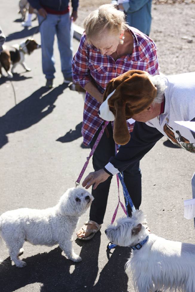 An attendee has her dogs blessed by Pastor David Miller during a pet blessing ceremony to celebrate the Feast of St. Francis of Assisi, the Catholic patron saint of animals, at New Song Church in Henderson on Saturday, Oct. 5, 2013. In the U.S., St. Francis of Assisi's feast day is celebrated on Oct. 4.
