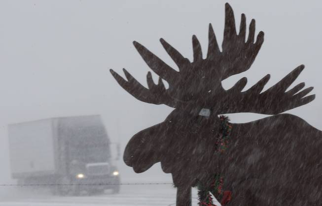 A truck drives in near whiteout conditions past a silhouette of a moose, on Interstate 80 near Gretna, Neb., Thursday, Feb. 21, 2013. Much of the nation's heartland is experiencing heavy snow, treacherous roads as potentially dangerous winter storm pushed eastward out of the Rockies.