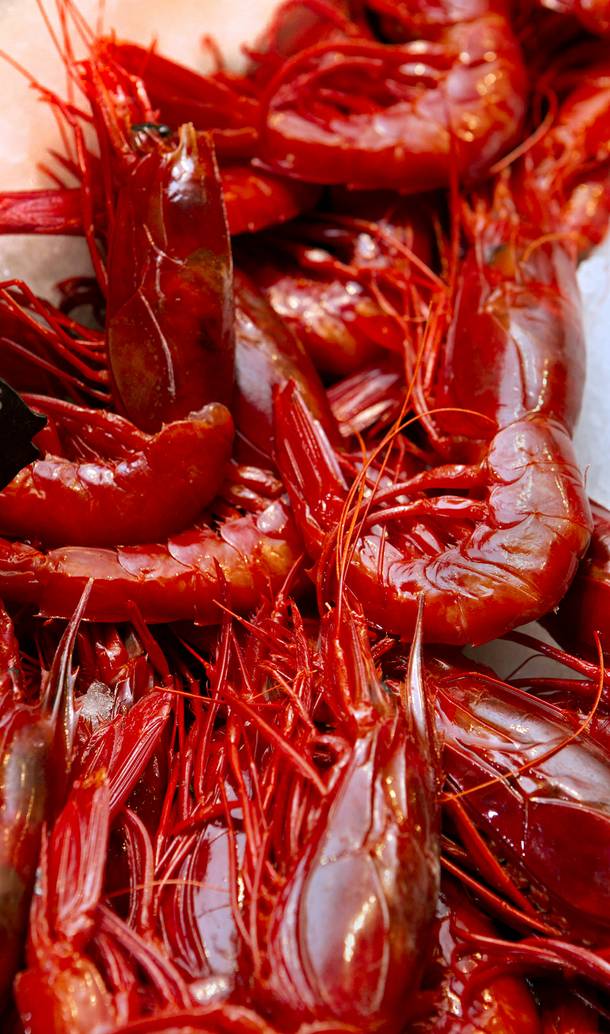 Bright red shrimp is on ice and ready for Milos customers to dine on Wednesday Oct. 23, 2013.
