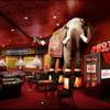 Photo: Renderings of Jeff Beacher’s Madhouse at MGM Gra Photo: Renderings of Jeff Beacher’s Madhouse at MGM Gra