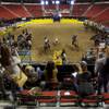 Photo: Steers are recorded for future study as team roper Photo: Steers are recorded for future study as team roper