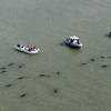 Photo: Officials in boats monitor the scene where dozens Photo: Officials in boats monitor the scene where dozens