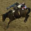 Photo: Bareback rider Steven Peebles is bucked back durin Photo: Bareback rider Steven Peebles is bucked back durin