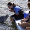 Senior trainer Kelly Jayne Rodriguez, left, works with a dolphin named Molly, who is in her early 50s, as students look on at the Dolphin Research Center in the Florida Keys, Fla. Geriatric marine mammal care is becoming more important today as Molly and other dolphins in human care are living longer than their counterparts in the wild. To meet these growing needs, the center has established the College of Marine Mammal Professionals. Senior trainer Kelly Jayne Rodriguez, left, works with a dolphin named Molly, who is in her early 50s, as students look on at the Dolphin Research Center in the Florida Keys, Fla. Geriatric marine mammal care is becoming more important today as Molly and other dolphins in human care are living longer than their counterparts in the wild. To meet these growing needs, the center has established the College of Marine Mammal Professionals.