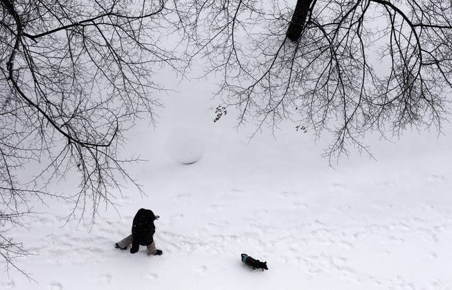 A man walks his dog along the Chicago River as the snow continues to accumulate in Chicago, Thursday, Jan. 2, 2014. As much as a foot of snow or more was forecast for some areas in the Northeast overnight Thursday into Friday, and temperatures were expected to plummet, with some areas seeing highs just above zero, according to the National Weather Service.