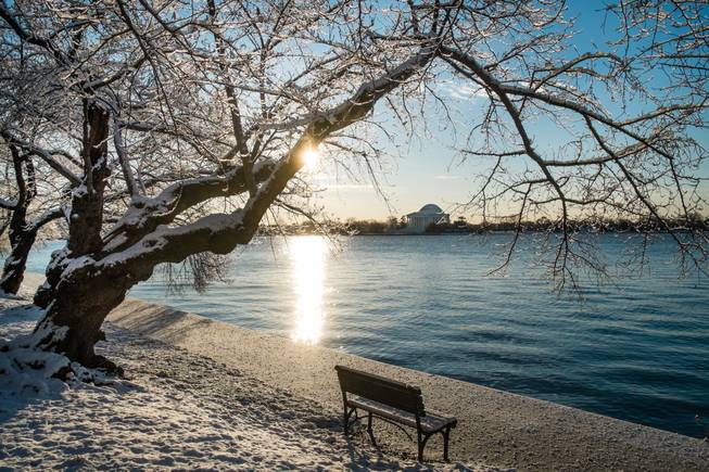 A light dusting of snow and ice from an overnight storm covers the cherry trees around the Tidal Basin near the Jefferson Memorial in Washington early Friday morning Jan. 3, 2014. After a storm blew through the Washington region overnight, roads are being cleared and many schools systems are closed. The federal government and the District of Columbia government will be open Friday, but workers have the option to take leave or telework. (AP Photo/J. David Ake)