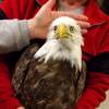 Photo: This undated file photo provided by the Wildlife R Photo: This undated file photo provided by the Wildlife R