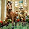 Chinese New Year (Year of the Horse) is commemorated at the Atrium Waterfall on Wednesday, Jan. 8, 2014, in Palazzo. Chinese New Year begins Jan. 31, 2014. Chinese New Year (Year of the Horse) is commemorated at the Atrium Waterfall on Wednesday, Jan. 8, 2014, in Palazzo. Chinese New Year begins Jan. 31, 2014.