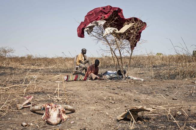 Civilians sit under the shade of a blanket they placed over a small tree outside the gate of the United Nations Mission in South Sudan (UNMISS) compound, hoping to benefit from their protection, after government forces on Friday retook from rebel forces the provincial capital of Bentiu, in Unity State, South Sudan, Sunday, Jan 12, 2014.