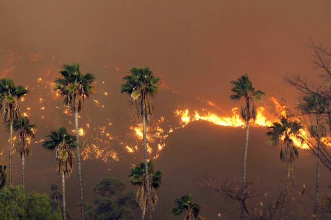 A wildfire burns in the hills just north of the San Gabriel Valley community of Glendora, Calif. on Thursday, Jan 16, 2014. Southern California authorities have ordered the evacuation of homes at the edge of a fast-moving wildfire burning in the dangerously dry foothills of the San Gabriel Mountains.
