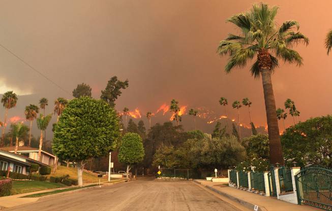 A wildfire burns in the hills just north of the San Gabriel Valley community of Glendora, Calif., on Thursday, Jan 16, 2014. Southern California authorities have ordered the evacuation of homes at the edge of a fast-moving wildfire burning in the dangerously dry foothills of the San Gabriel Mountains.