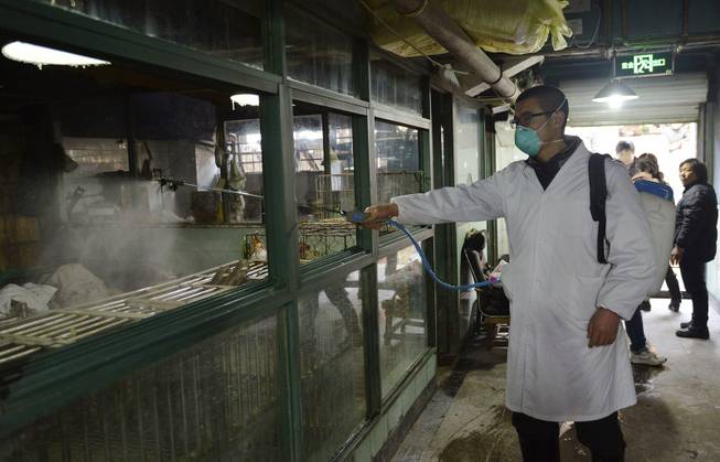 In this Friday, Jan. 24, 2014 photo, a worker disinfects cages at a closed poultry store in Hangzhou in east China's Zhejiang province. Authorities in eastern China said Tuesday, Jan. 28, 2014, they will ban live poultry sales after an increase in the number of people infected with the H7N9 strain of bird flu, with the busy Chinese New Year travel period already under way.