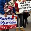 Photo: Zzyzx the dog joins the Nevada Political Action fo Photo: Zzyzx the dog joins the Nevada Political Action fo