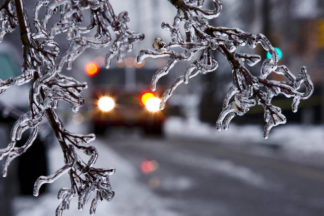 An ice covered tree limb that took out a utility line blocks the path of a firetruck after a winter storm Wednesday, Feb. 5, 2014, in Philadelphia. Icy conditions have knocked out power to more than 200,000 electric customers in southeastern Pennsylvania and prompted school and legislative delays as well as speed reductions on major roadways.