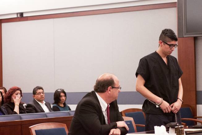 Cristian Diaz apologizes to one of his victims, Anne-Marie Ricci, and his victim's families during his sentencing hearing Monday, March 17, 2014. Diaz, 20, pleaded guilty last year to two counts of driving while under the influence of a controlled substance causing death and substantial bodily harm.