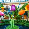 Photo: The Bellagio Conservatory & Botanical Gardens Spri Photo: The Bellagio Conservatory & Botanical Gardens Spri