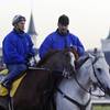 Trainer Steve Asmussen, right, leads Kentucky Derby hopeful Quintons Gold Rush and exercise rider Scott Blasi off the track after a morning workout at Churchill Downs in Louisville, Ky., April 28, 2004. Trainer Steve Asmussen, right, leads Kentucky Derby hopeful Quintons Gold Rush and exercise rider Scott Blasi off the track after a morning workout at Churchill Downs in Louisville, Ky., April 28, 2004.