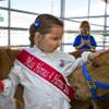 Sophie Juhl, 5, of North Las Vegas interacts with several miniature horses in the stables after a Horses4Heroes ribbon-cutting ceremony and grand-opening event at Tule Springs on Thursday, March 6, 2014. Sophie Juhl, 5, of North Las Vegas interacts with several miniature horses in the stables after a Horses4Heroes ribbon-cutting ceremony and grand-opening event at Tule Springs on Thursday, March 6, 2014.