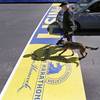 Photo: Boston Police Officer John Quinn walks with, Mille Photo: Boston Police Officer John Quinn walks with, Mille