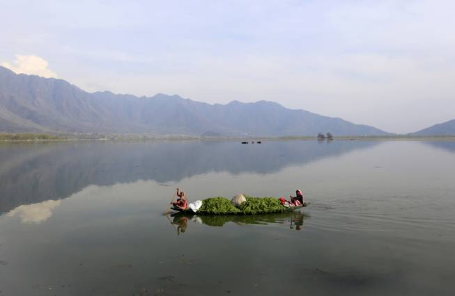Kashmiri women row a boat filled with weed after cleaning the Dal Lake on Earth Day, on the outskirts of Srinagar, India, Tuesday, April 22, 2014. The weed-clogged Dal Lake is central to Kashmirs tourist trade and efforts are being made to rescue the lake. In the past two decades the lake has shrunk by more than half, according to environmental study reports.