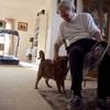 Photo: Gerry Venable pets one of his roommate's four cats Photo: Gerry Venable pets one of his roommate's four cats