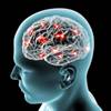 Photo: Brain Photo: Brain